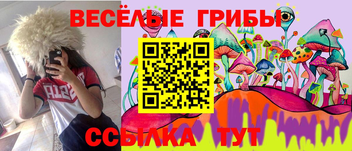 Псилоцибиновые грибы Psilocybe Минеральные Воды
